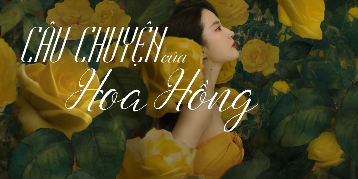 Câu Chuyện Của Hoa Hồng